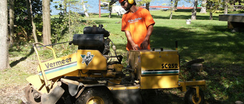 Tree Services Blind River